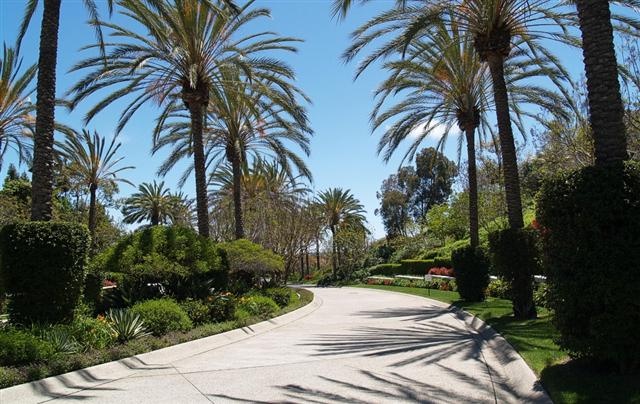 Entry To The Park Hyatt Resort