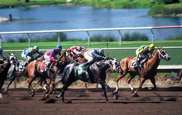 Del Mar Track near Del Mar real estate