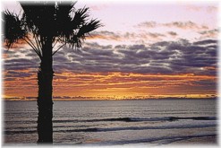 Many Leucadia homes have sunset views