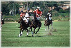 Polo Fields in Rancho Santa Fe